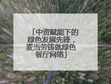 中资赋能下的绿色发展先锋，麦当劳铸就绿色餐厅网络